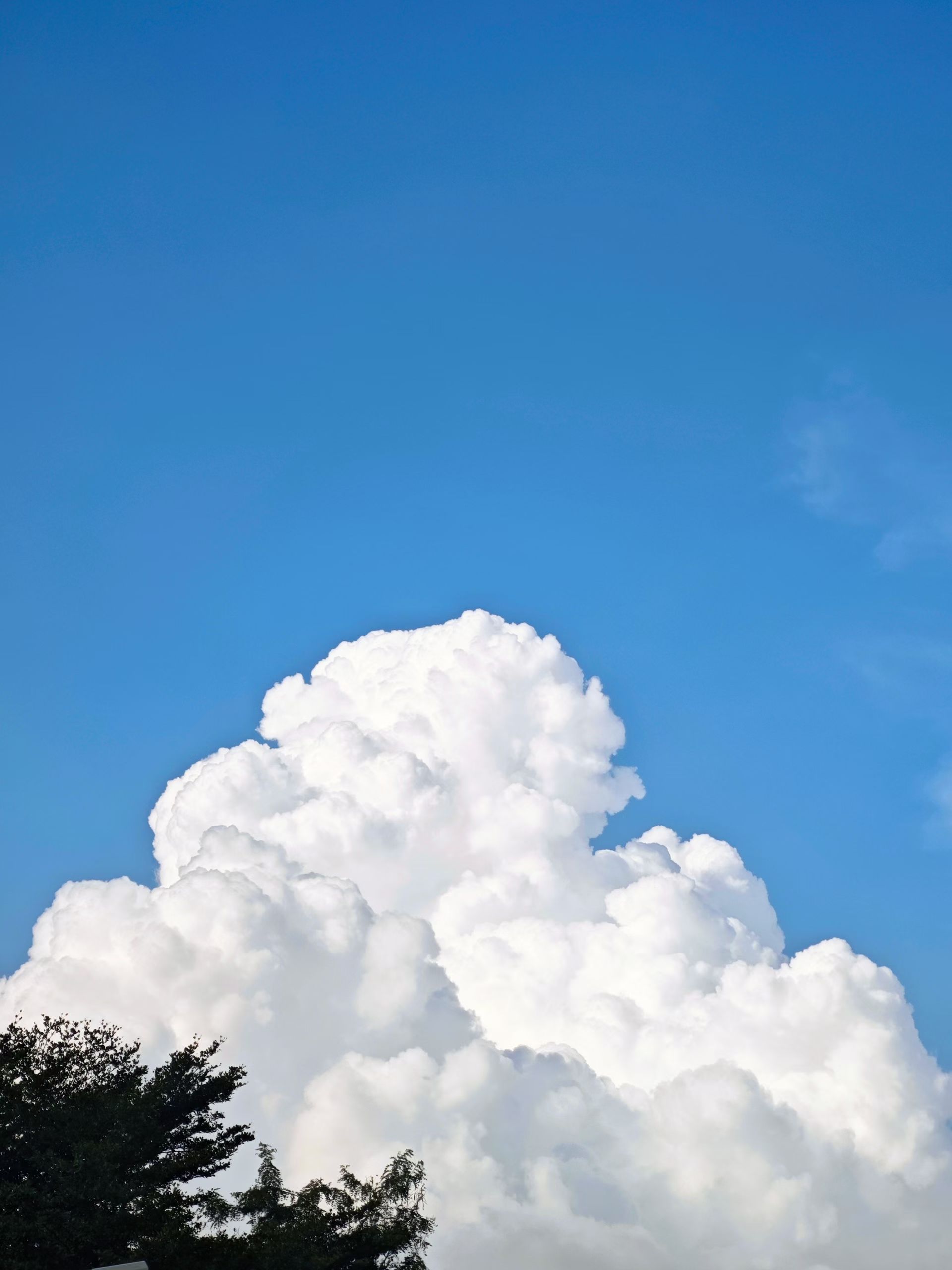 mmexport1757838481895.jpg mmexport1757838481895.jpg