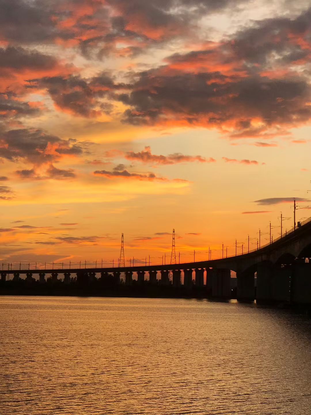 mmexport1756725407688.jpg mmexport1756725407688.jpg