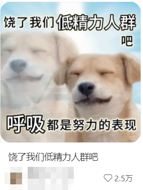 “低能量星人”原地集合：你不是懒 只是能量不足