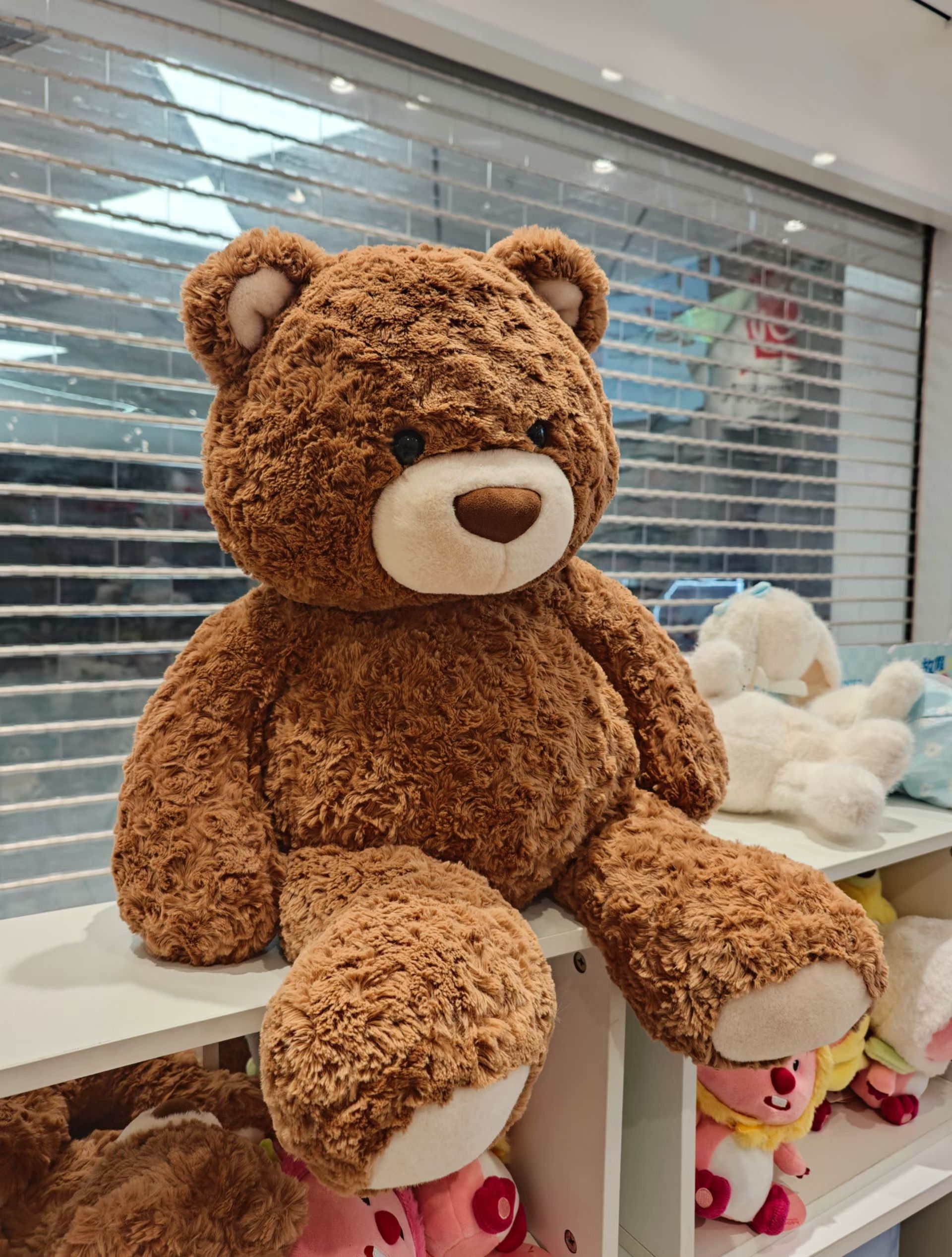 mmexport1759671246228.jpg mmexport1759671246228.jpg