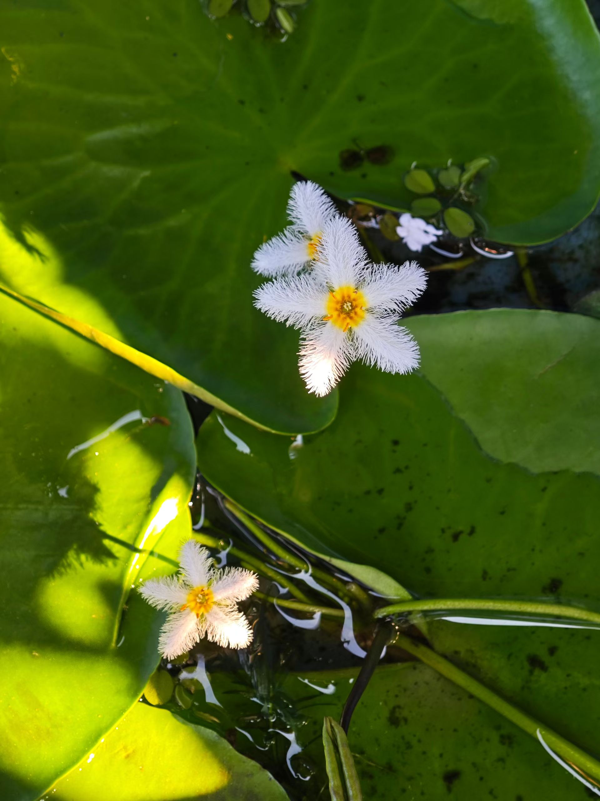 mmexport1763471111451.jpg mmexport1763471111451.jpg