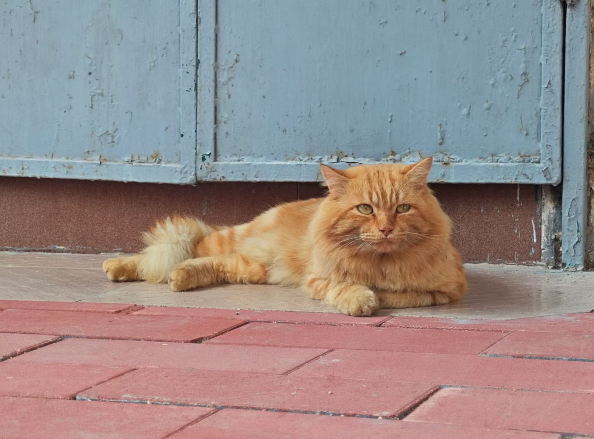 mmexport1763388300220.jpg mmexport1763388300220.jpg