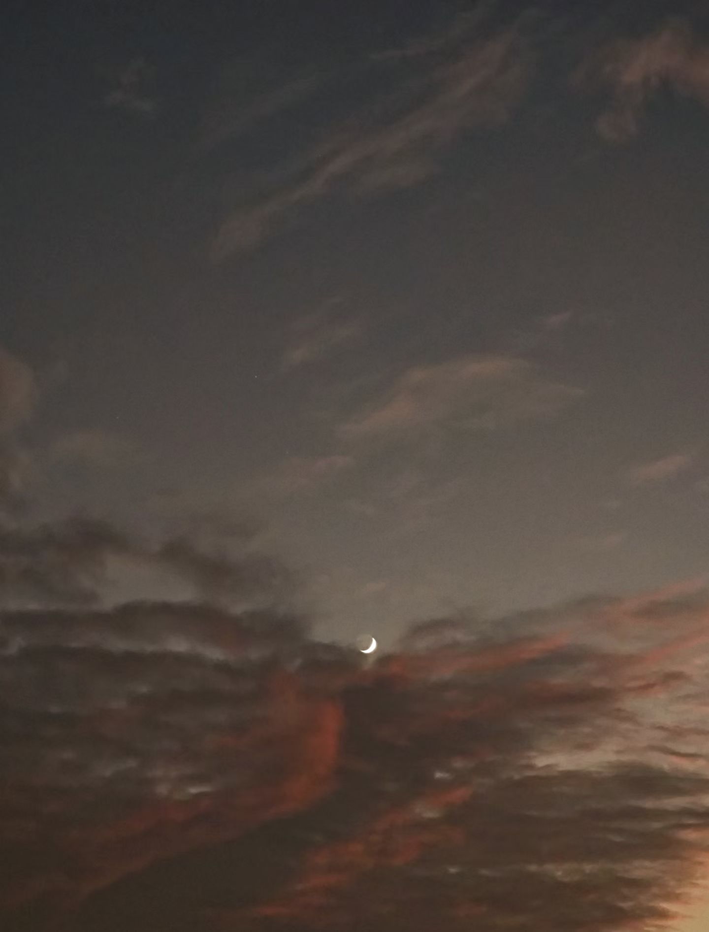 mmexport1764067290227.jpg mmexport1764067290227.jpg