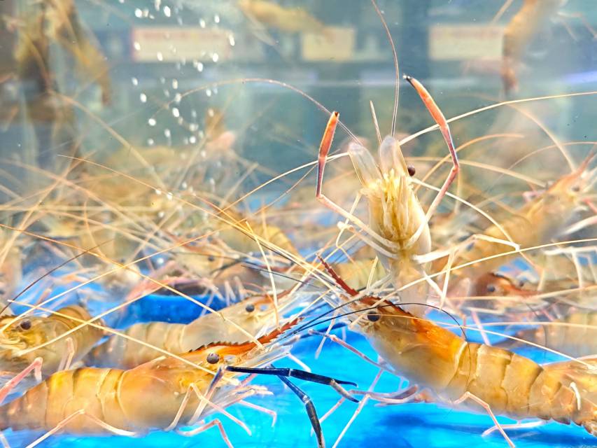 mmexport1764682127564.jpg mmexport1764682127564.jpg